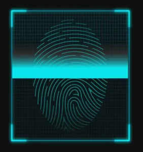 Fingerprint algorithm.png