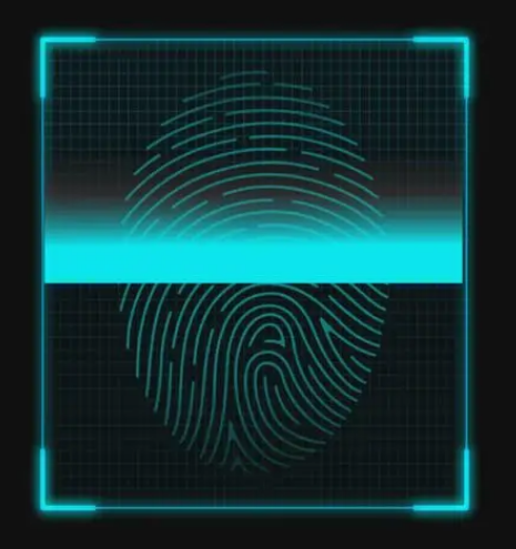 Fingerprint algorithm upgrade, IDWord leads the development of the industry