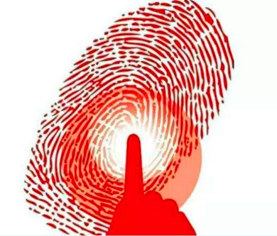 Introduction to fingerprint recognition